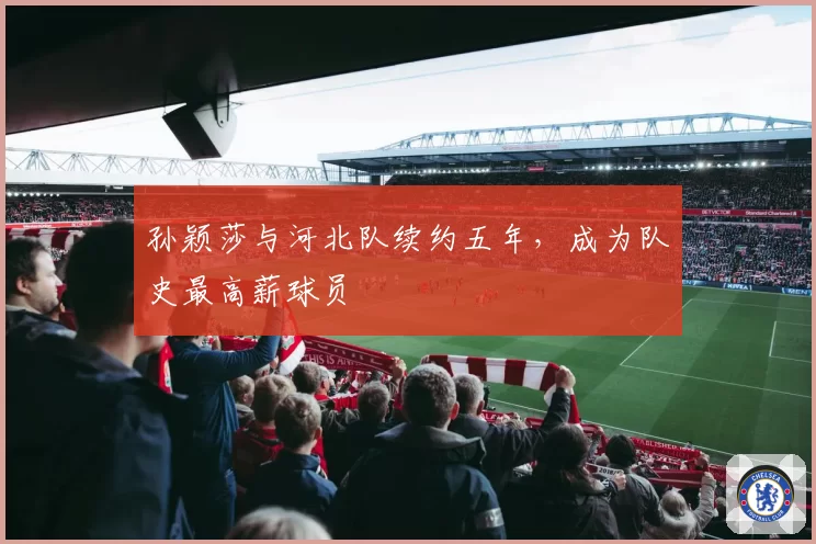 孙颖莎与河北队续约五年，成为队史最高薪球员