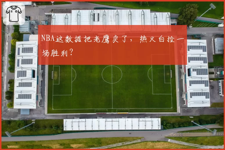 NBA这数据把老鹰卖了,热火白捡一场胜利?